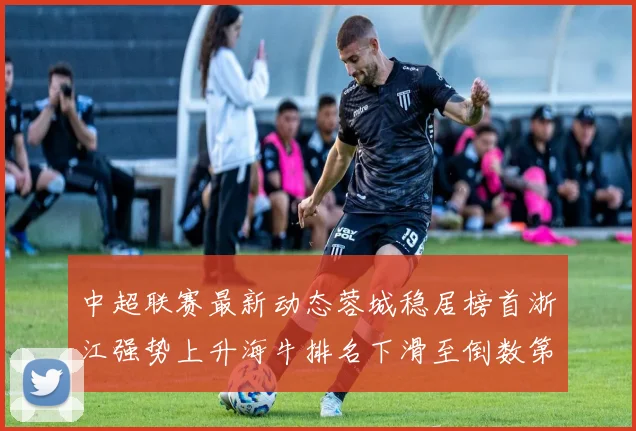 中超联赛最新动态蓉城稳居榜首浙江强势上升海牛排名下滑至倒数第三